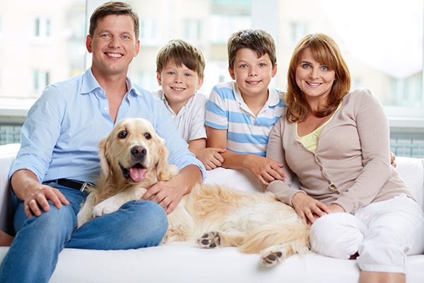 Looking For A Family Dentist In Austin? Consider These Factors